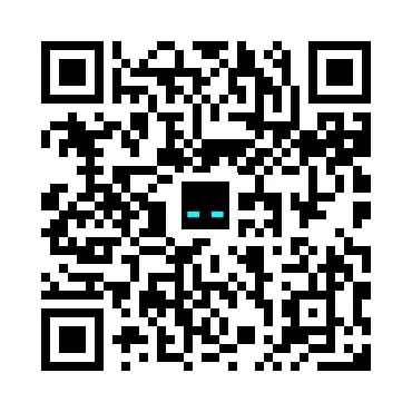 skins.qr_code_alt