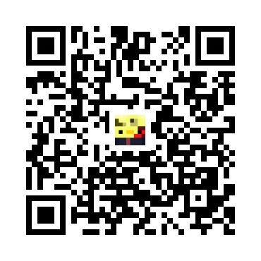 skins.qr_code_alt