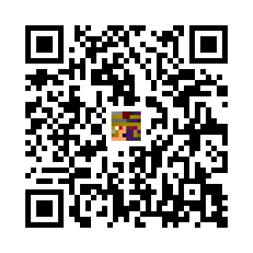 skins.qr_code_alt