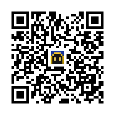 skins.qr_code_alt