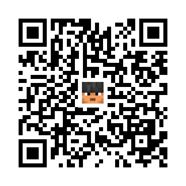 skins.qr_code_alt