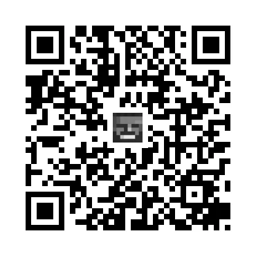 skins.qr_code_alt