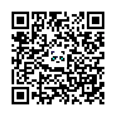 skins.qr_code_alt