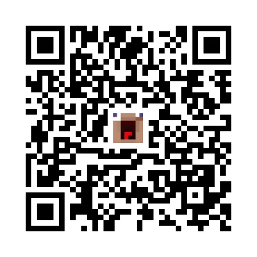 skins.qr_code_alt