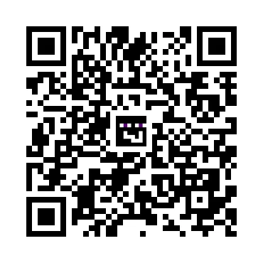 skins.qr_code_alt