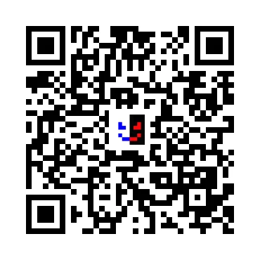 skins.qr_code_alt