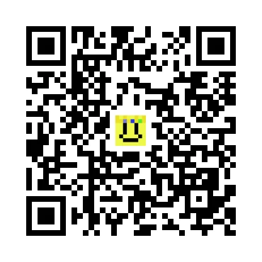 skins.qr_code_alt
