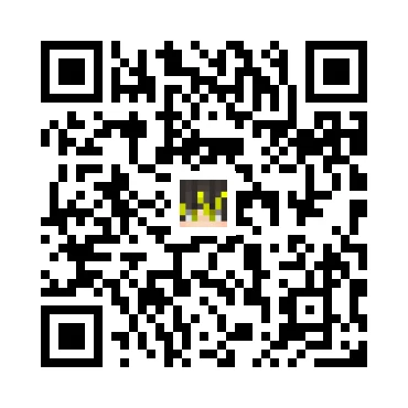 skins.qr_code_alt