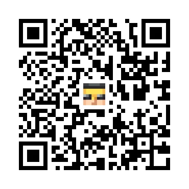 skins.qr_code_alt