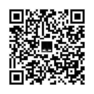 skins.qr_code_alt