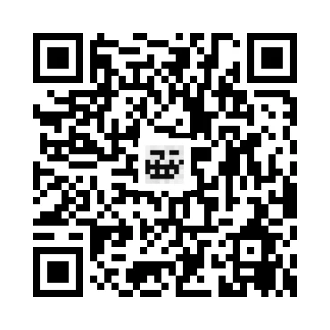 skins.qr_code_alt