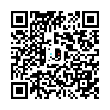 skins.qr_code_alt