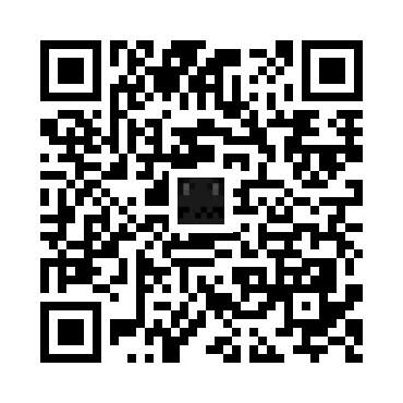 skins.qr_code_alt