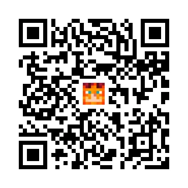 skins.qr_code_alt