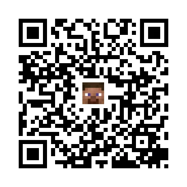 skins.qr_code_alt
