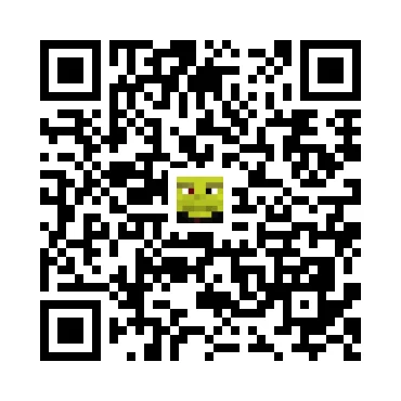 skins.qr_code_alt