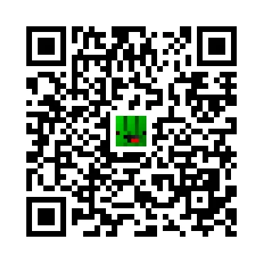skins.qr_code_alt