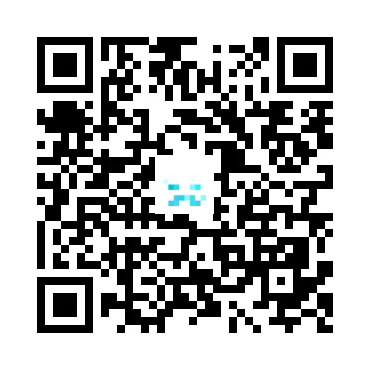 skins.qr_code_alt