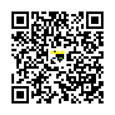 skins.qr_code_alt