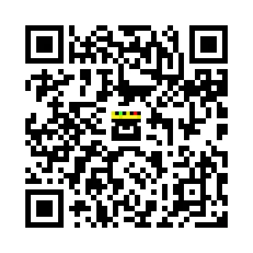skins.qr_code_alt