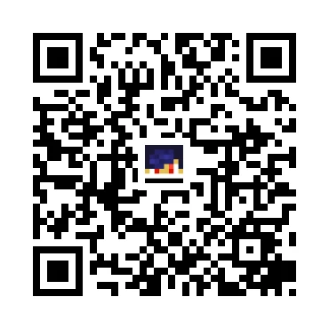 skins.qr_code_alt
