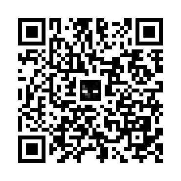 skins.qr_code_alt