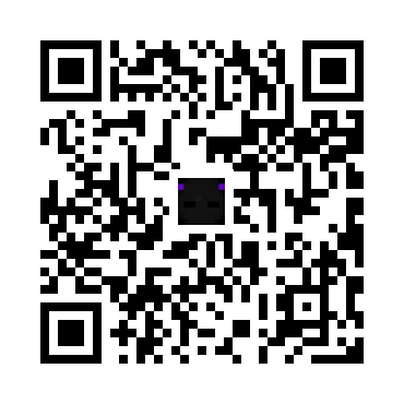 skins.qr_code_alt