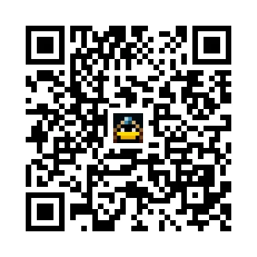 skins.qr_code_alt