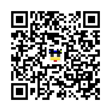 skins.qr_code_alt