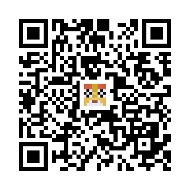 skins.qr_code_alt