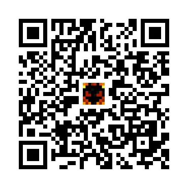 skins.qr_code_alt