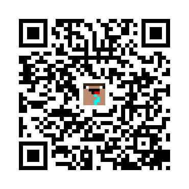 skins.qr_code_alt