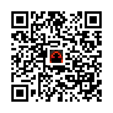 skins.qr_code_alt