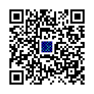 skins.qr_code_alt