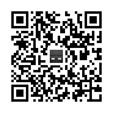 skins.qr_code_alt