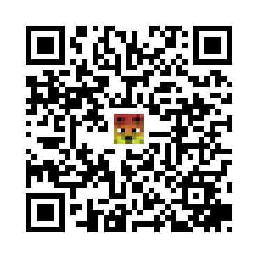 skins.qr_code_alt