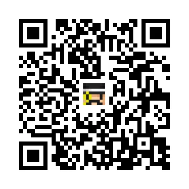 skins.qr_code_alt
