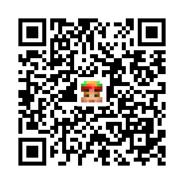 skins.qr_code_alt