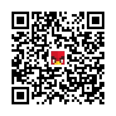 skins.qr_code_alt