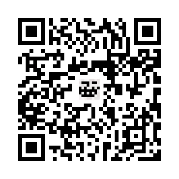 skins.qr_code_alt