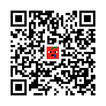 skins.qr_code_alt