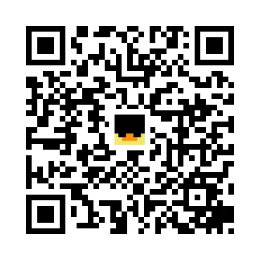skins.qr_code_alt