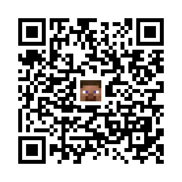 skins.qr_code_alt
