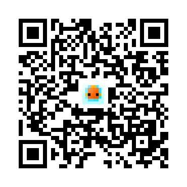 skins.qr_code_alt