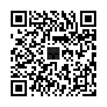skins.qr_code_alt