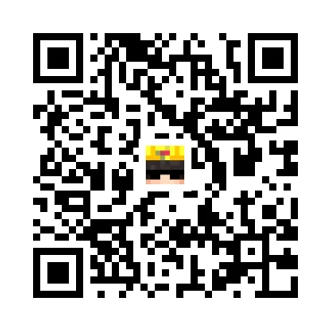 skins.qr_code_alt