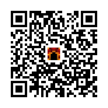 skins.qr_code_alt