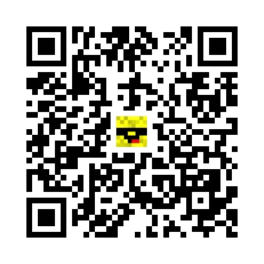 skins.qr_code_alt