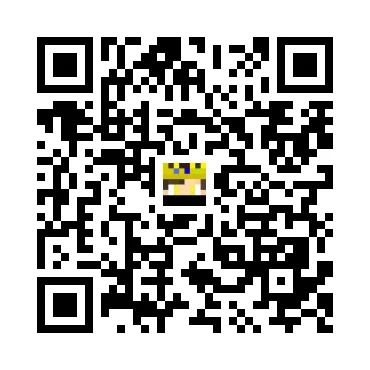 skins.qr_code_alt
