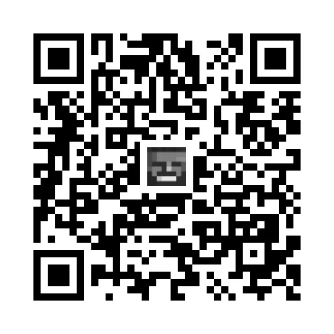 skins.qr_code_alt